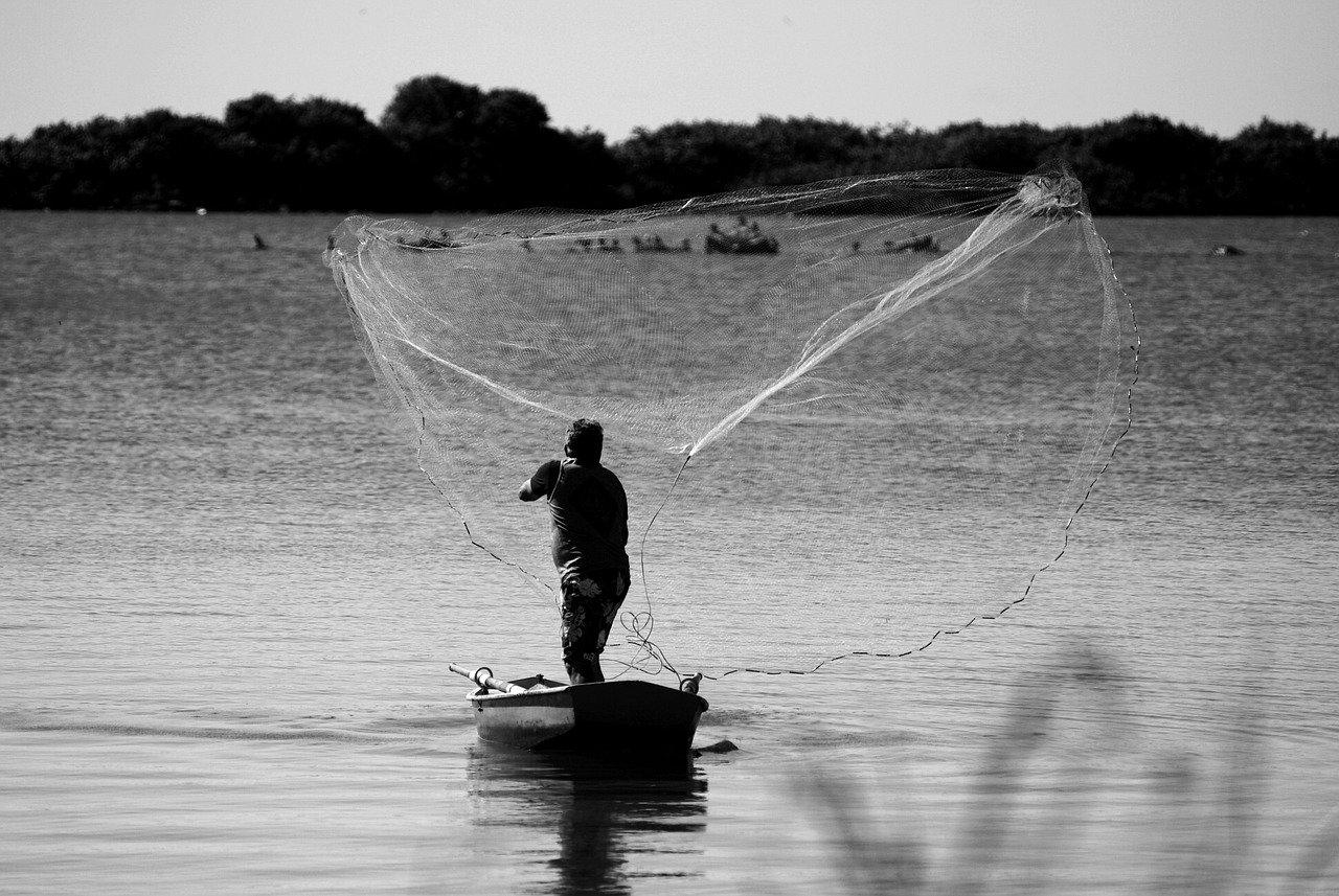 The Ultimate Guide to Fishing in the Boundary Waters